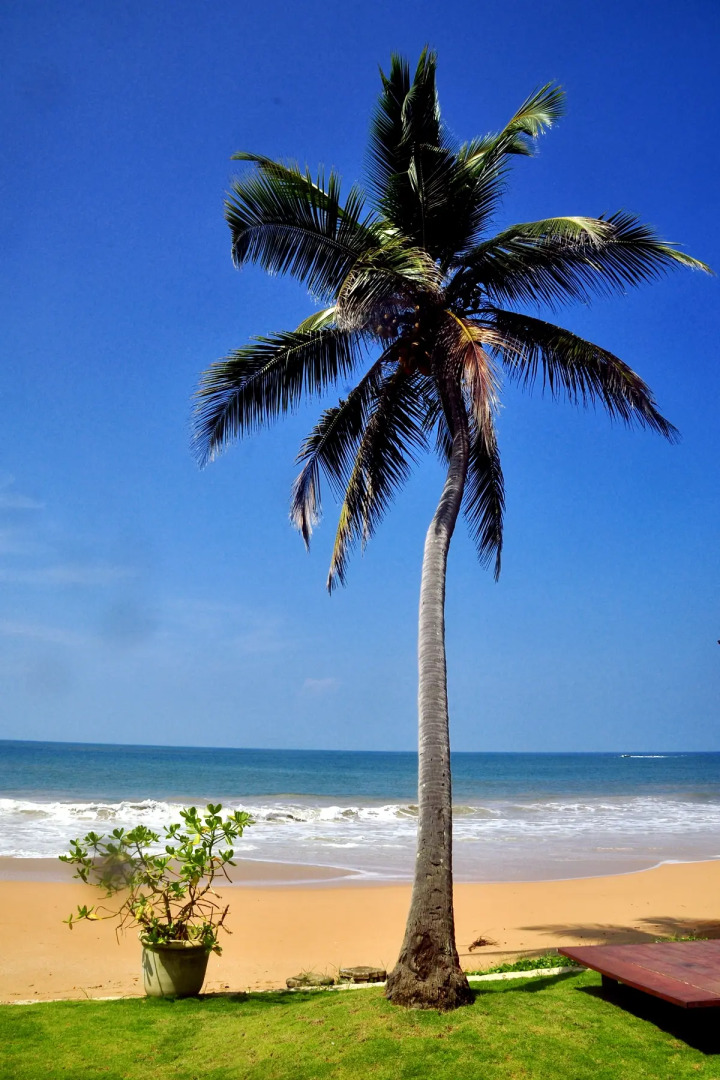 Санаторий Ocean of Life Ayurvedic