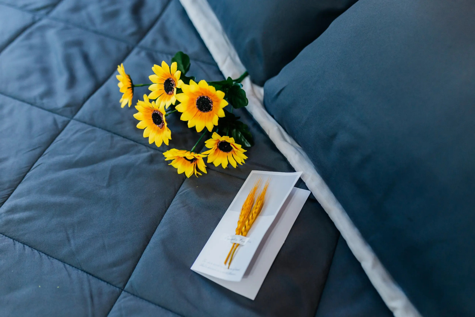 Апартаменты Альфа Хоум Плюс в центре Челябинска