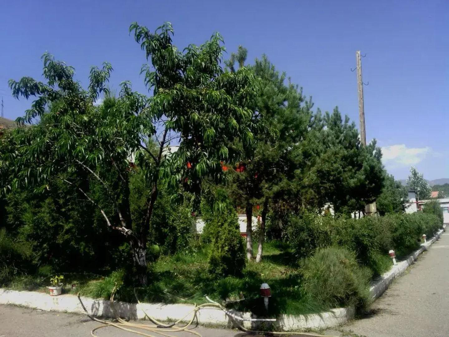 База Отдыха Nirvana