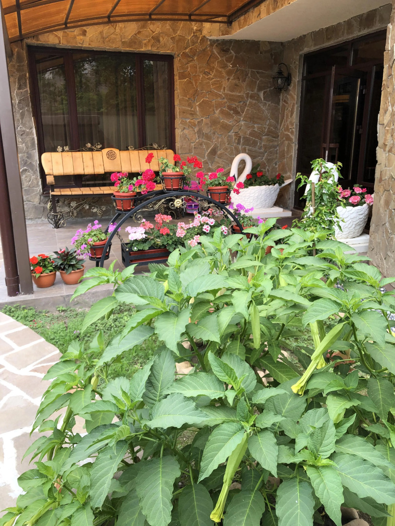 Гостевой дом Siella