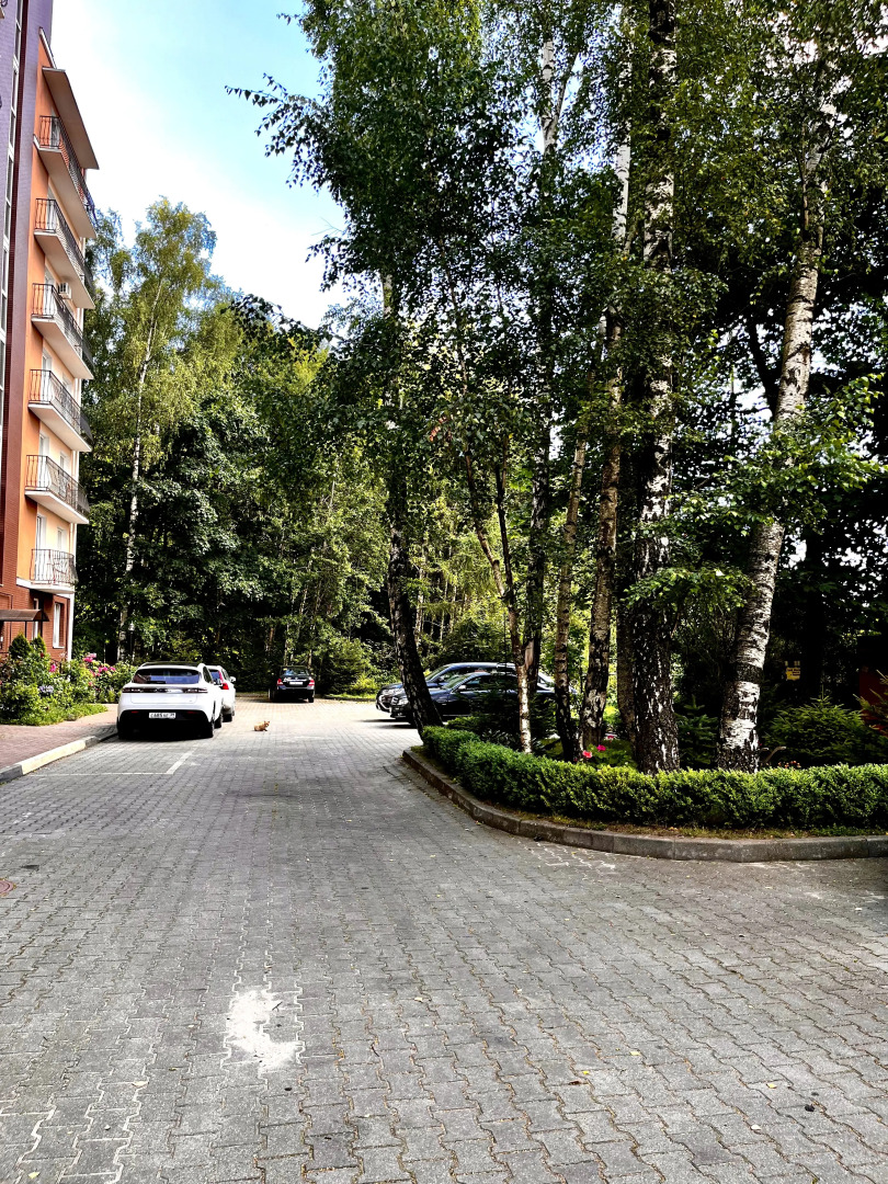 Квартира Уютная Рядом с Морем Светлогорск