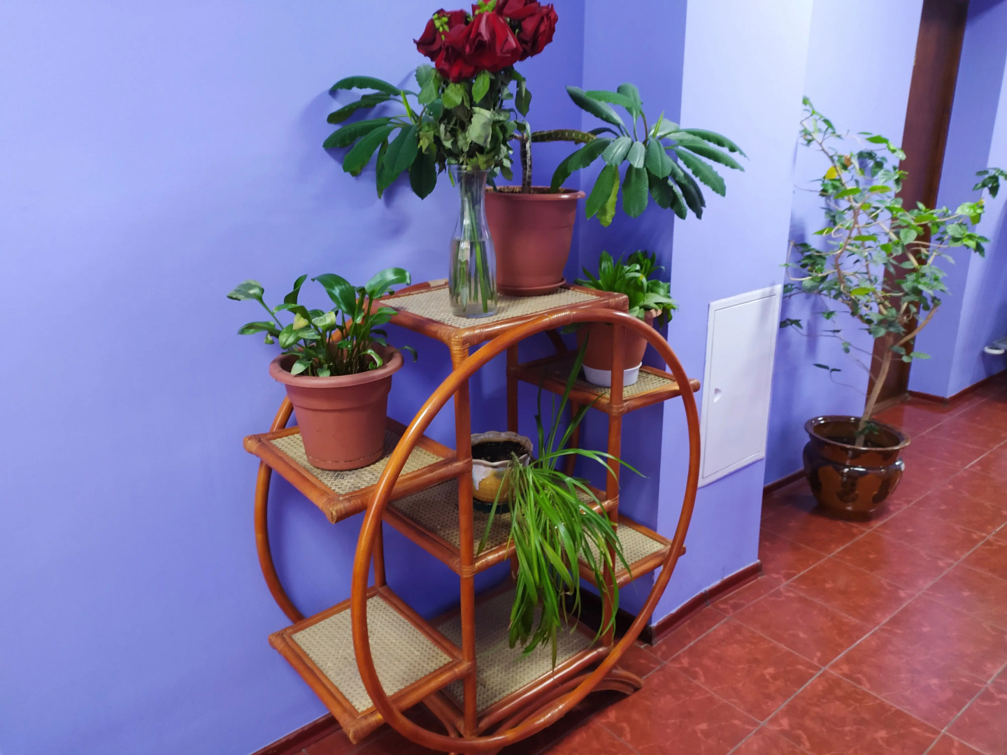 Хостел На Бульваре