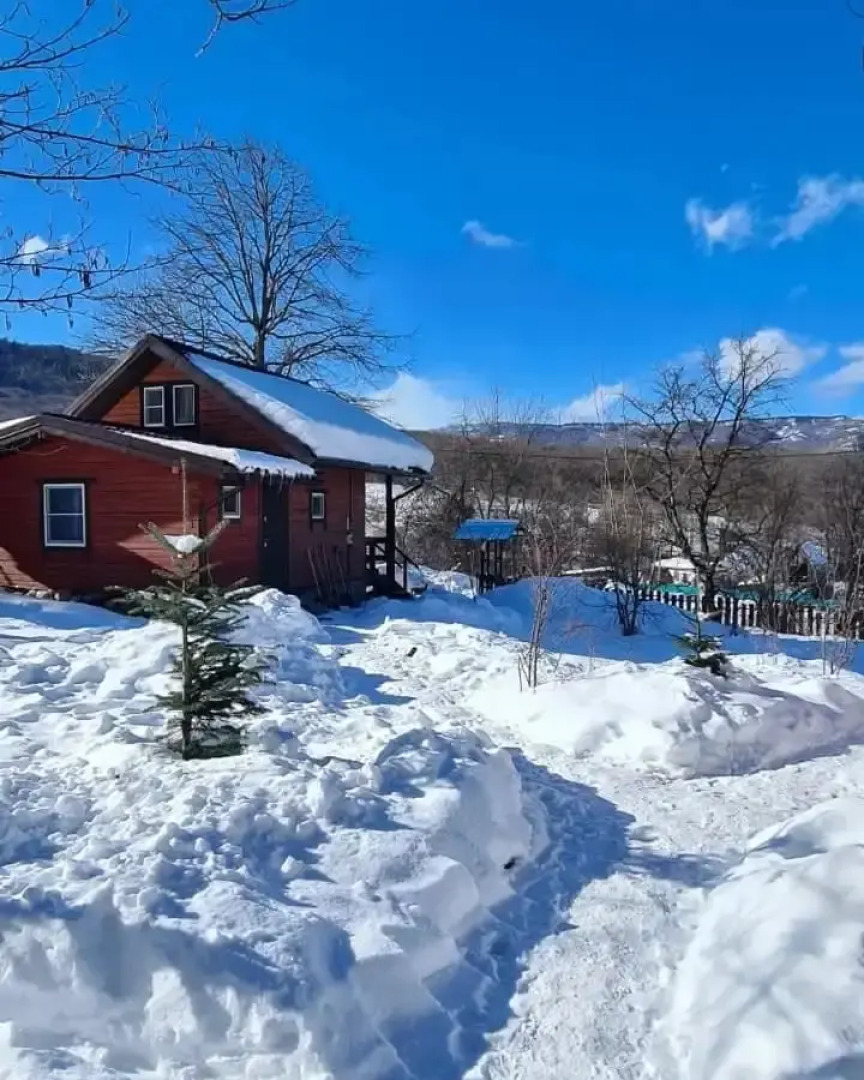 Шале Дрозды