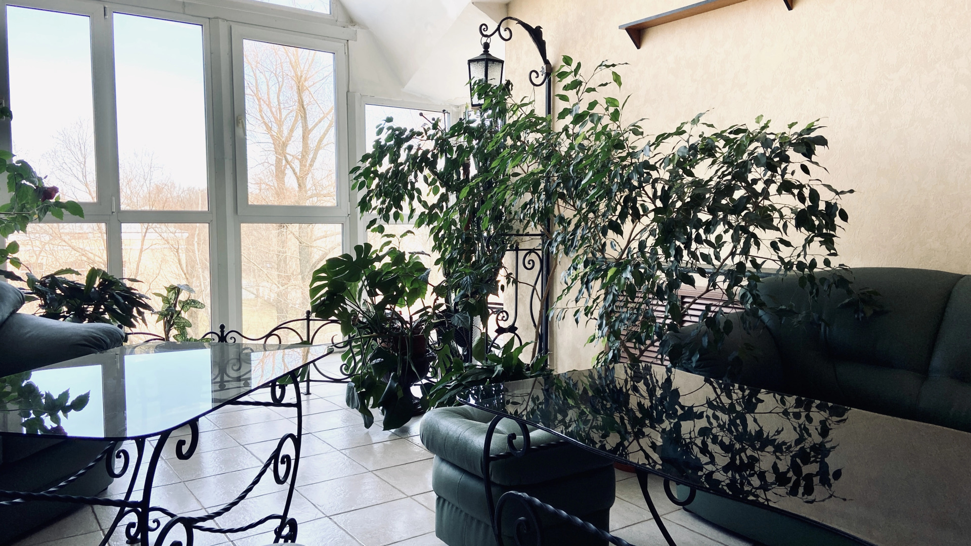 Отель Ингрия