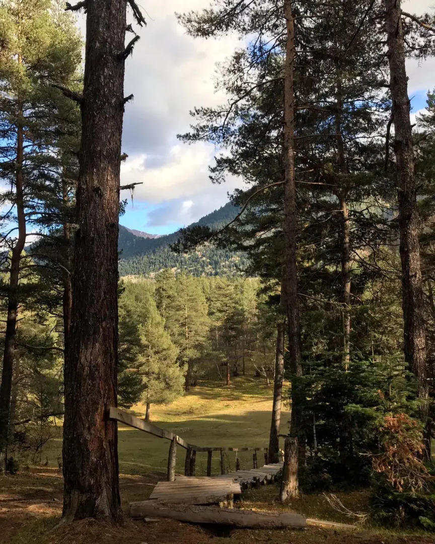 Шале Белый Волк