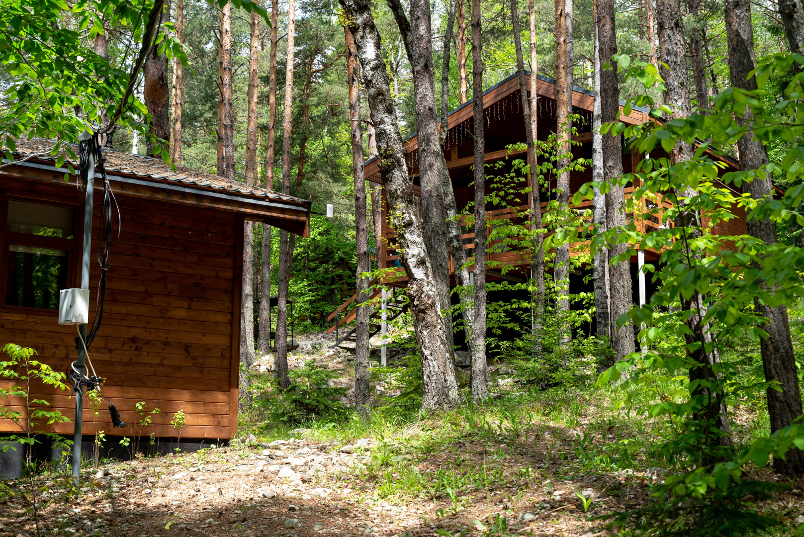 Отель Нарния