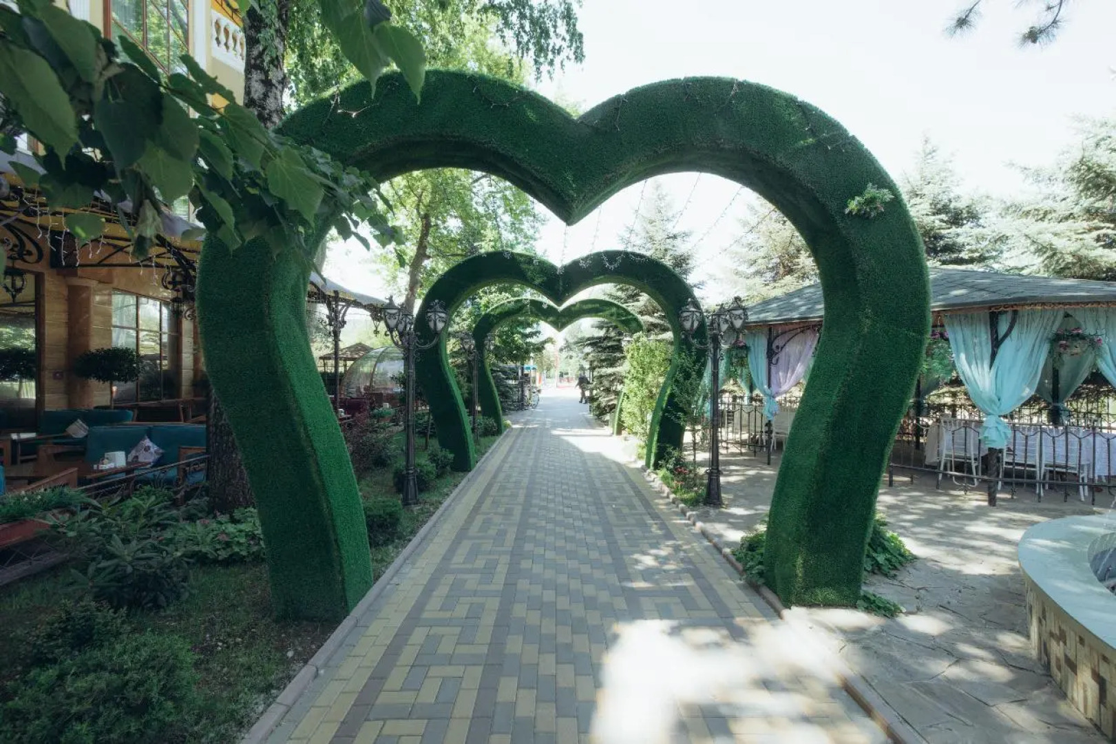 Отель Даяна