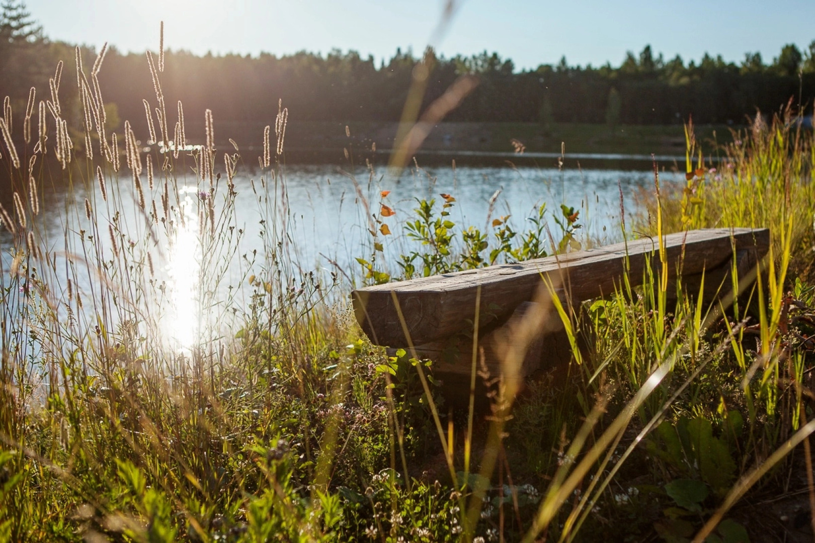 База Отдыха Арт Усадьба Веретьево