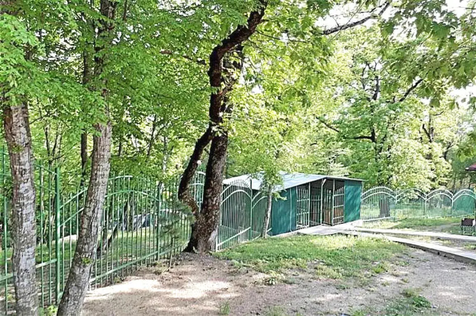 Гостевой Дом Бревенчатый