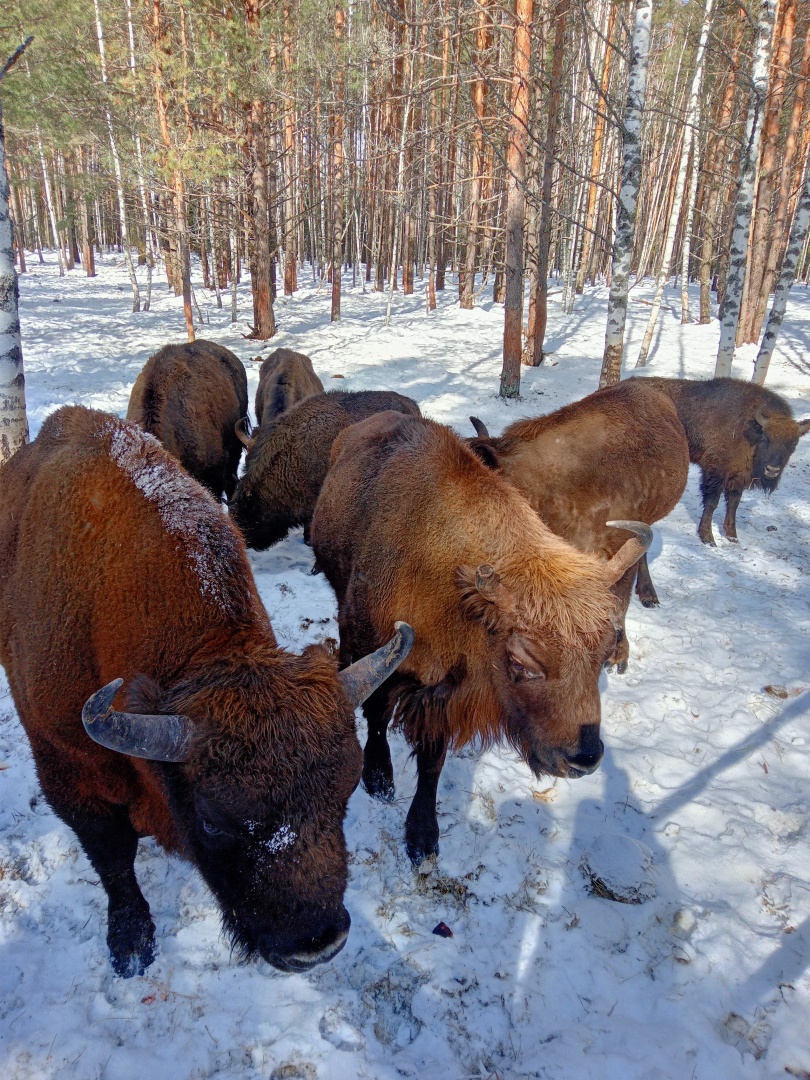 Частный Дом Дом-баня Гусь-хрустальный