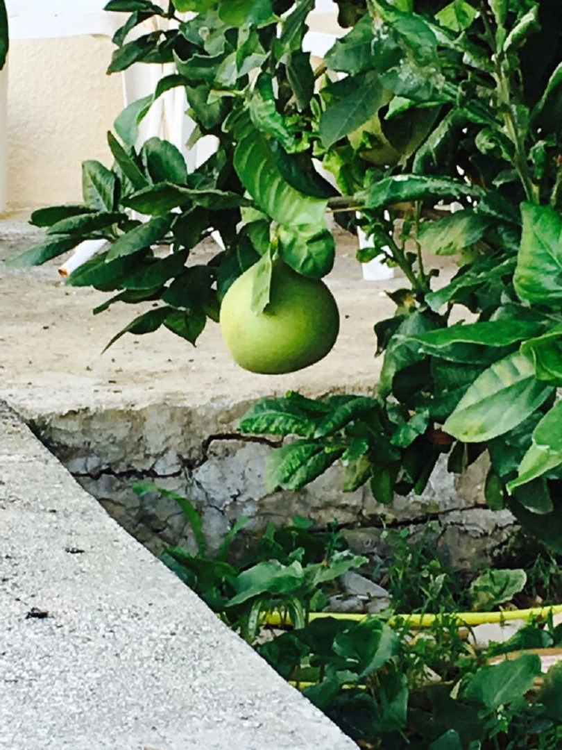 Апартаменты в Като Пафос