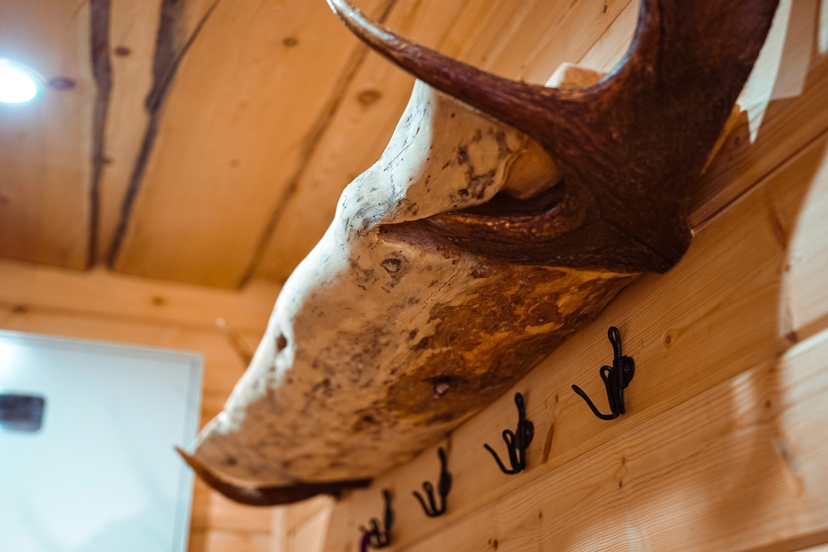 Гостевой дом ЛовозероТур