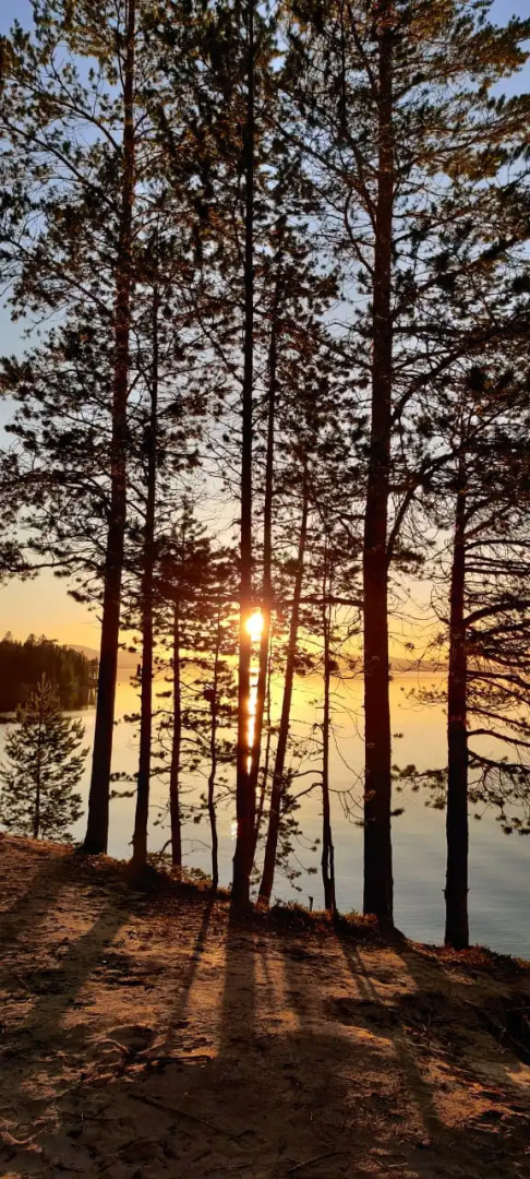 Гостевой дом Меличуярви Лось