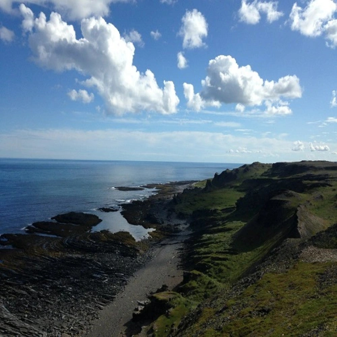 Кемпинг Эко Village Arctic