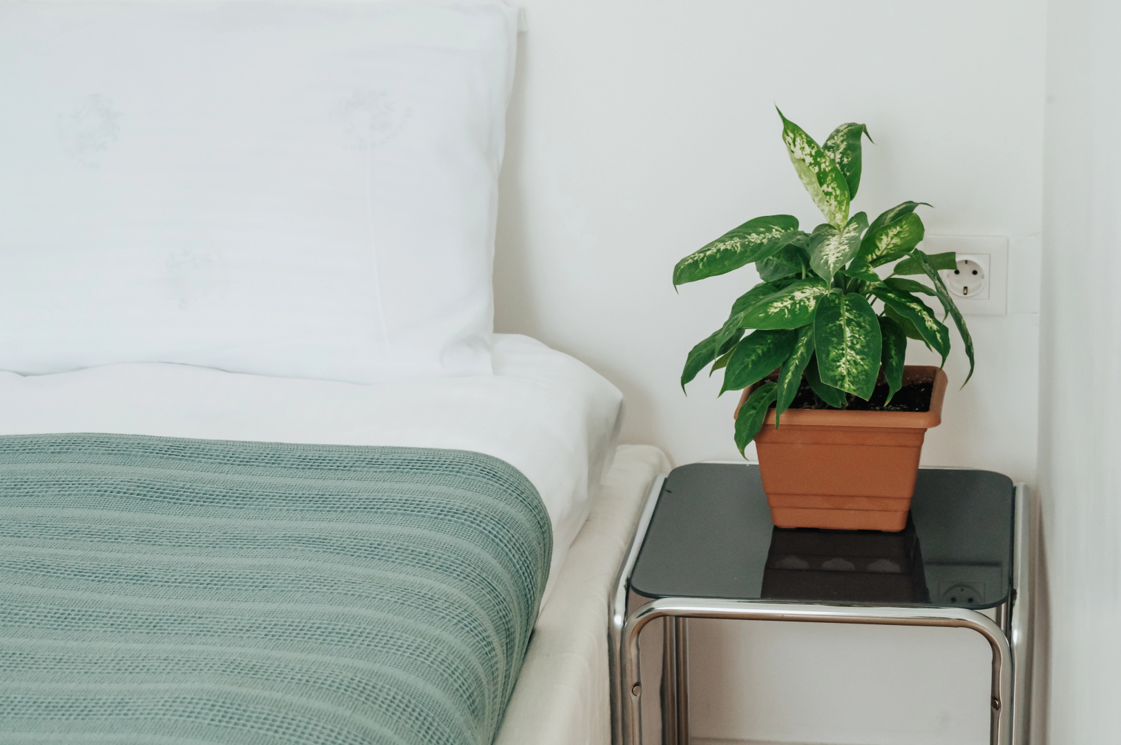 Апартаменты HB apartments Tabukashvili