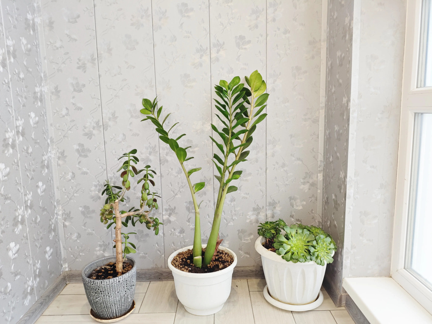 Квартира Комфортабельная в центре Белгорода