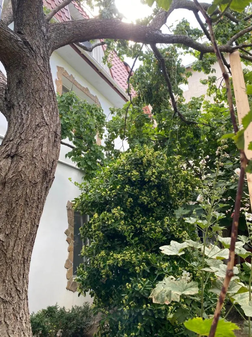 Гостевой дом Коронелло