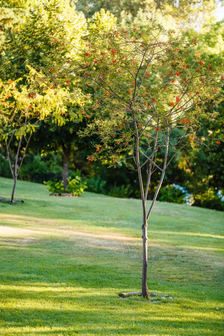 Отель Fonte Santa