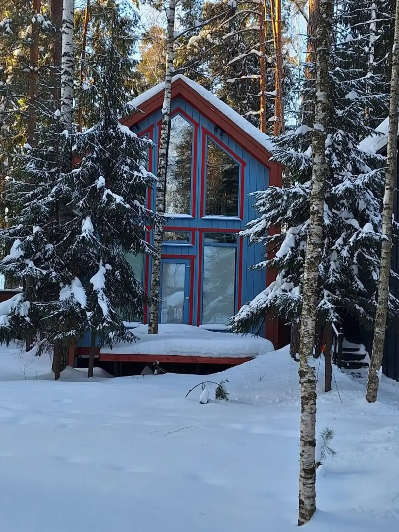 Частный дом в Заветах Ильича с голубой гостиной