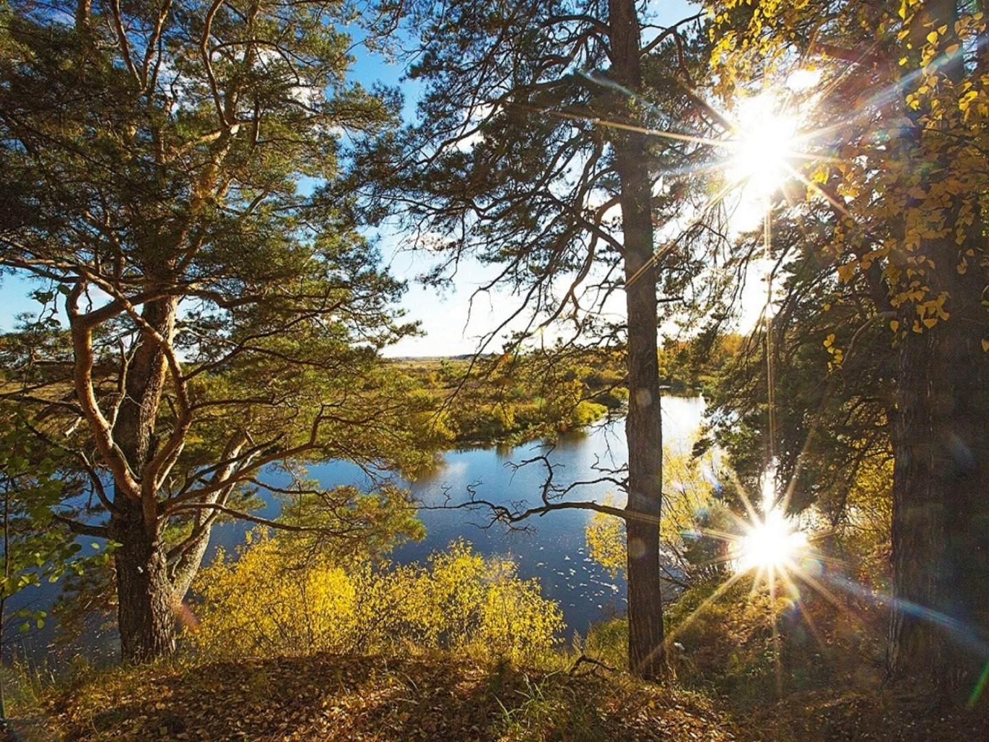 Гостиничный комплекс-музей Дом Пионеров