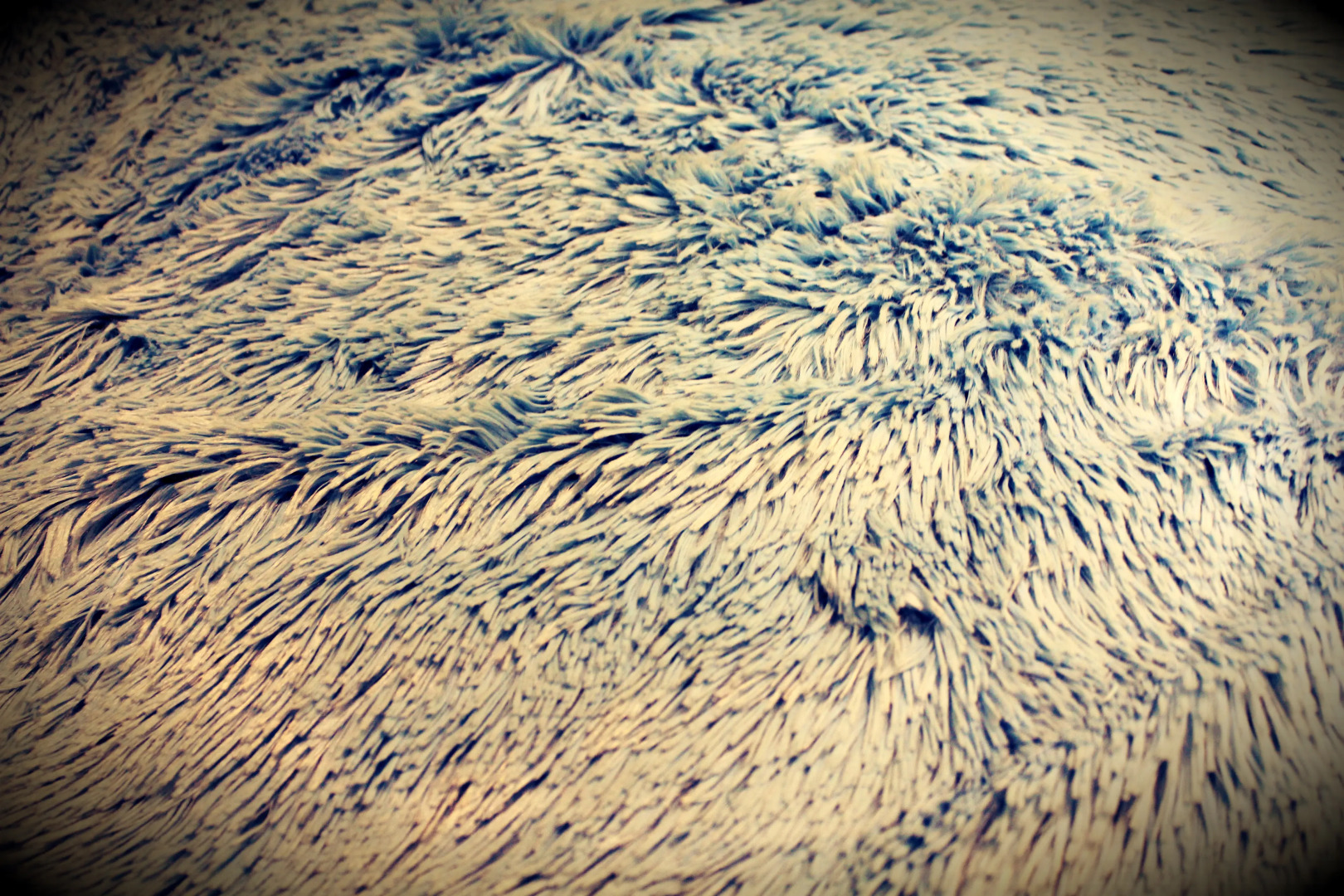 Хостел Шестое Чувство