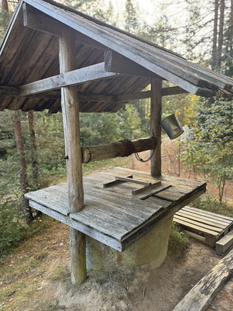 Частный дом Ретро-дача в Карельской деревне