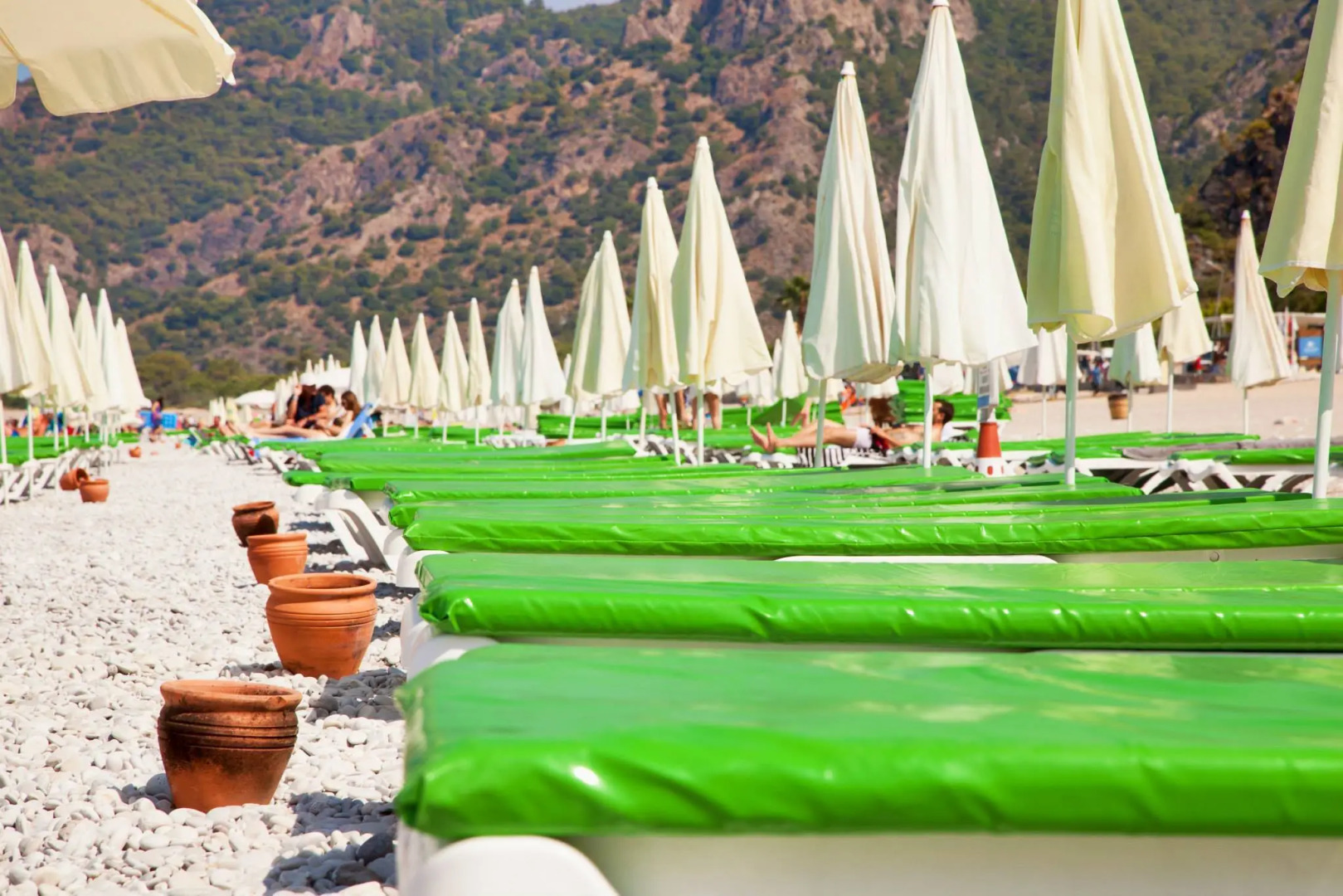 Отель Daisy Garden Resort