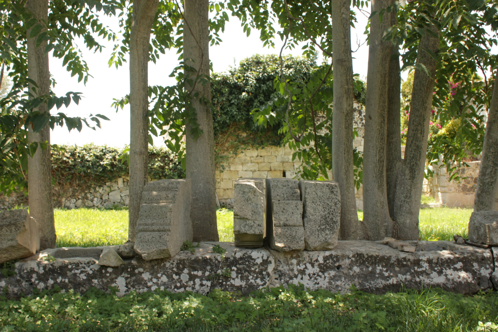 Agriturismo Il Carosello dei Baroni