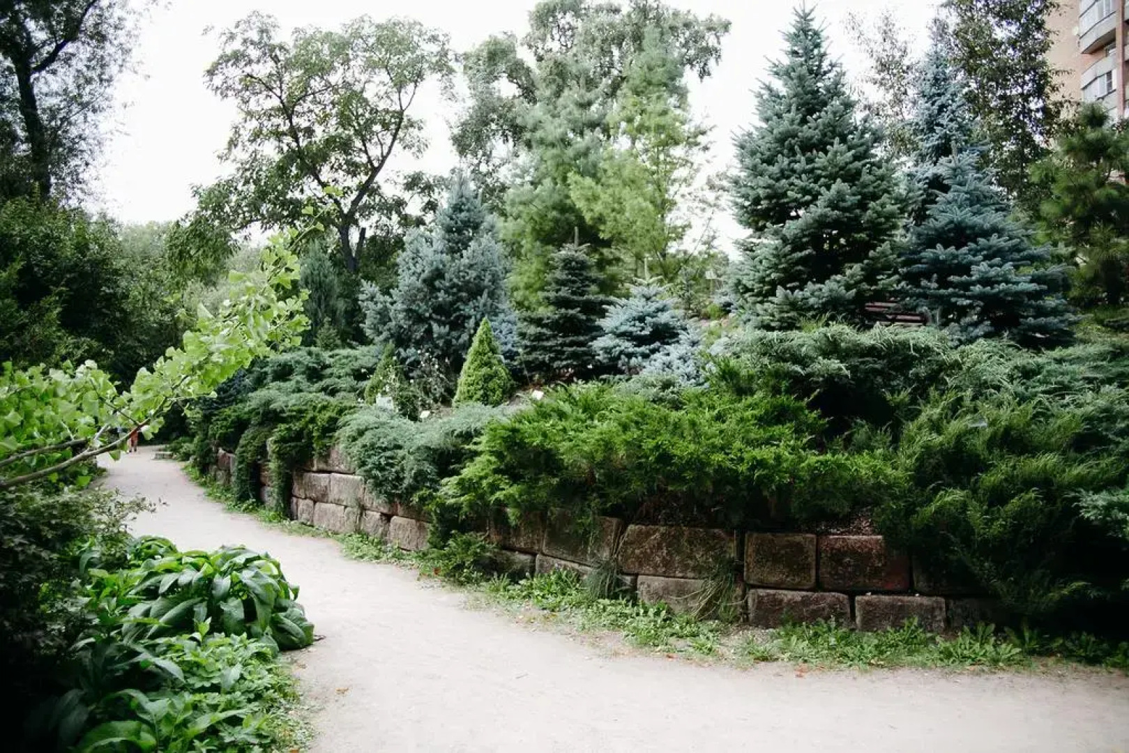 Отель Garden Embassy