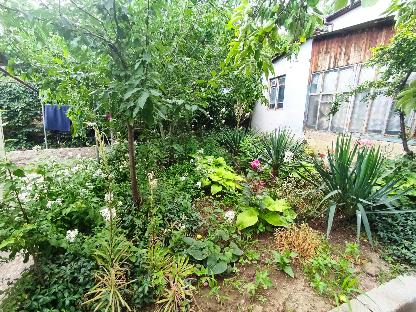 Жилое помещение  Chekhov19