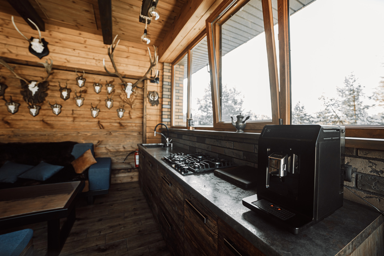 Гостевой дом дом в аренду в Беловежской пуще