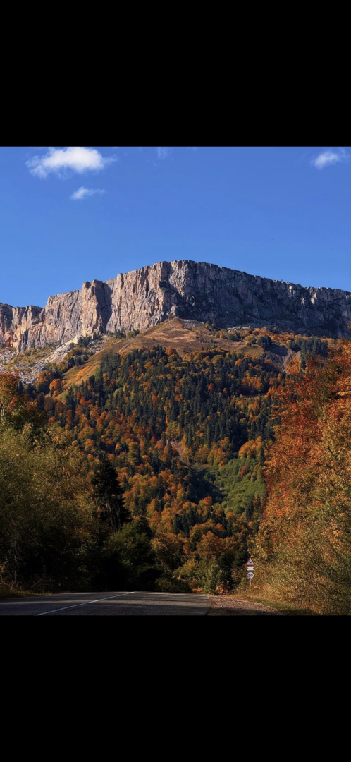 Меблированные комнаты Надежда