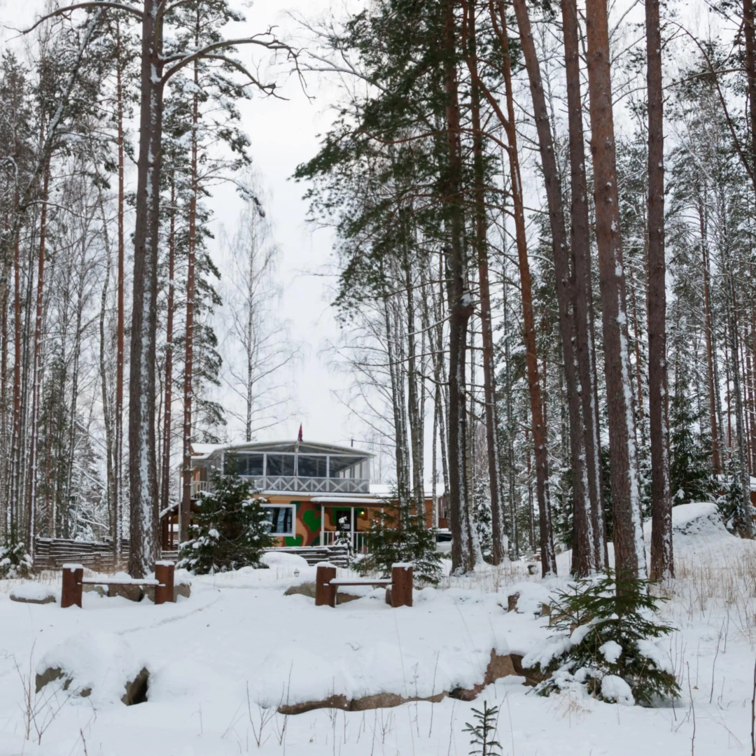 Частный дом BlackFox