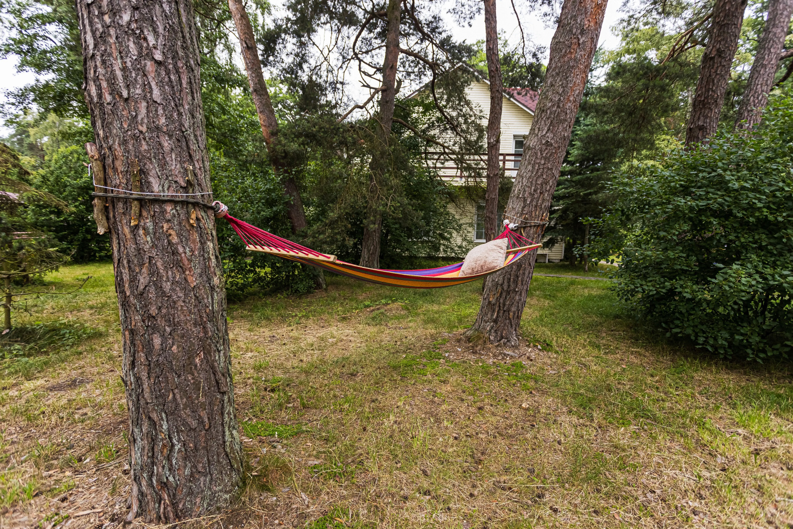 База отдыха ВитТех