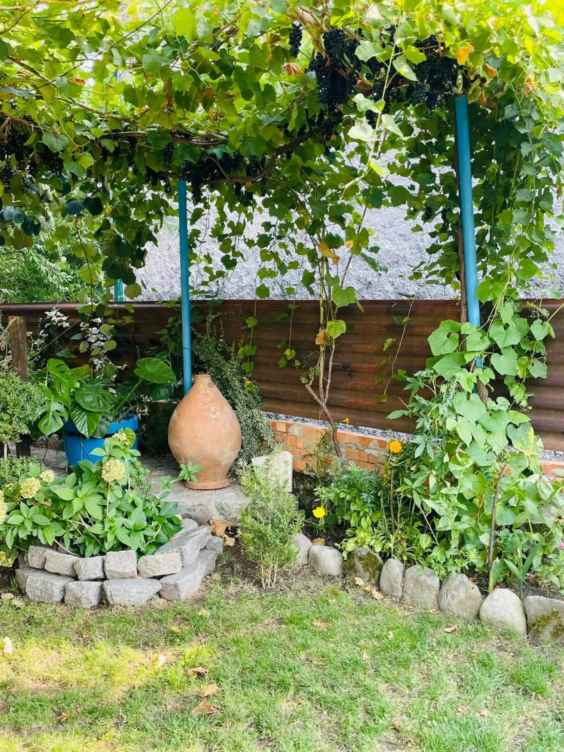 Guesthouse STAR Lagodekhi