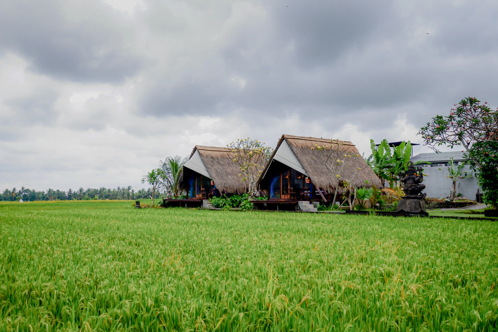 Отель Ubud Rice Field Stay by WAHM Hotel