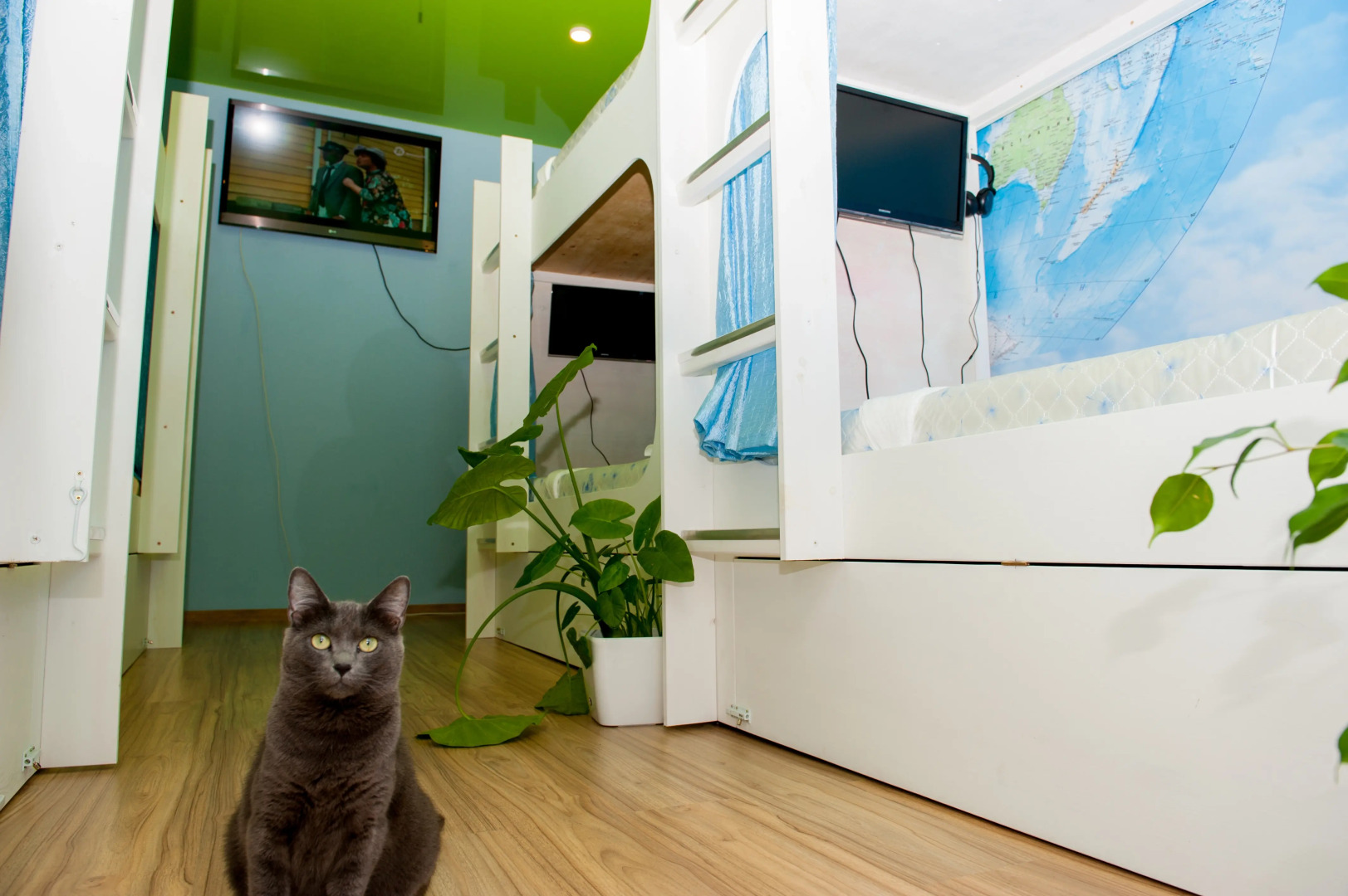 Хостел Зеленая Лампа