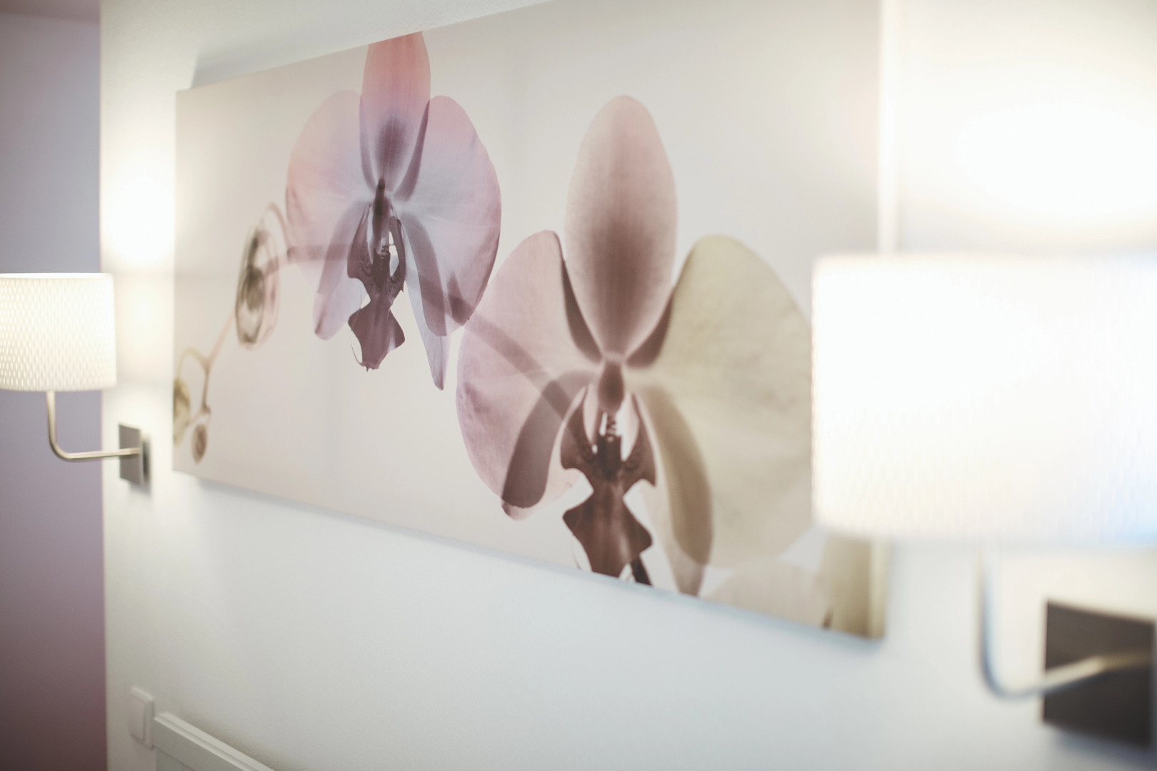 Мини-Отель Гагарин