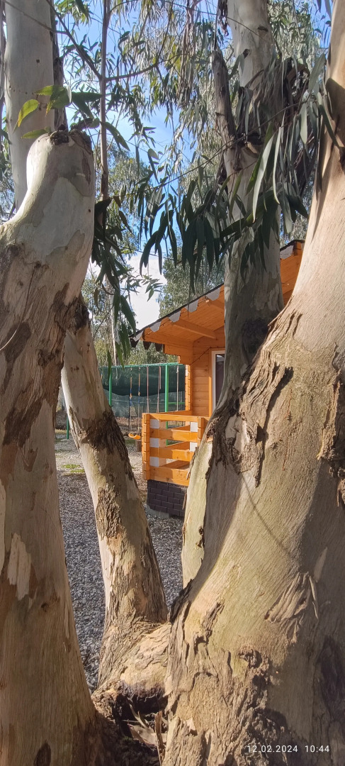 База отдыха Нарт отель