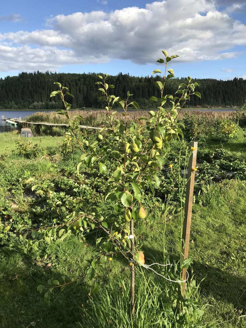Гостевой дом Рантатало