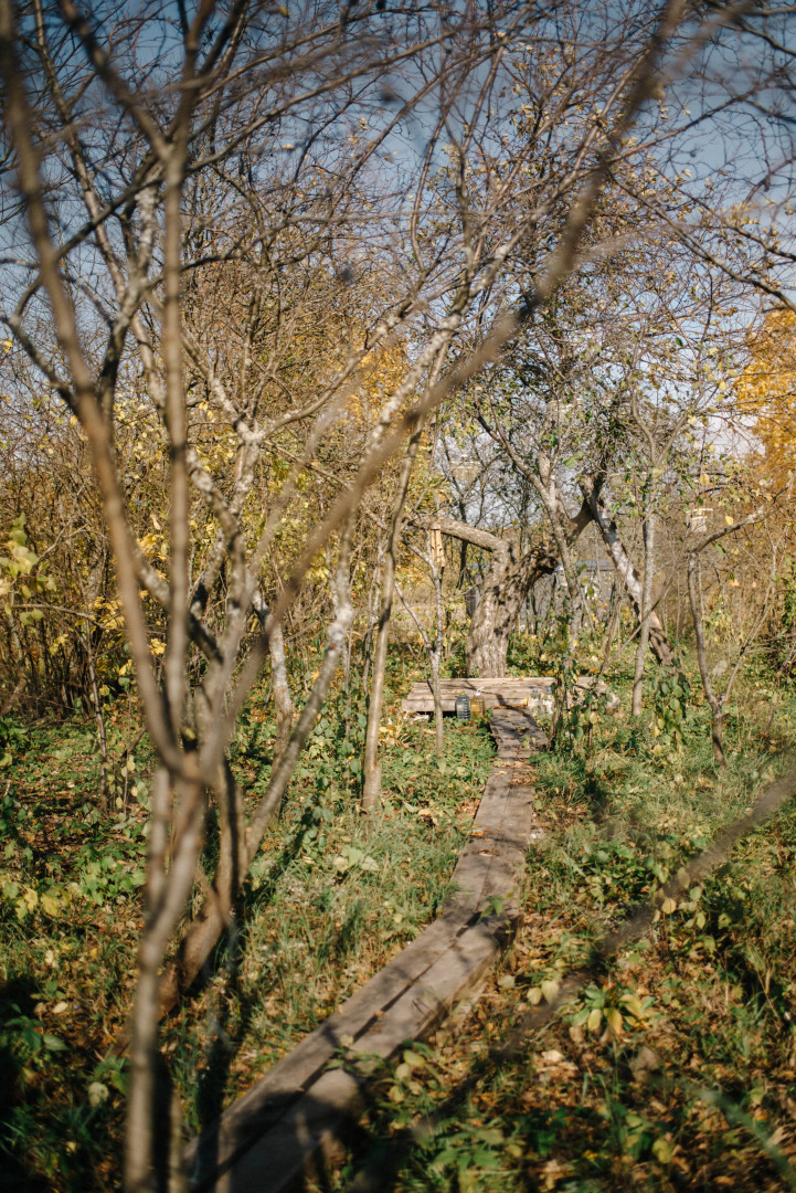 Глэмпинг Амбаркаса