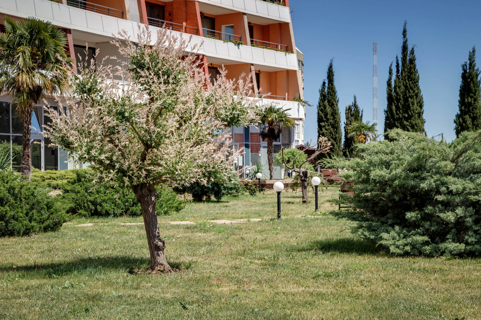 Апартаменты Фамилия Делюкс