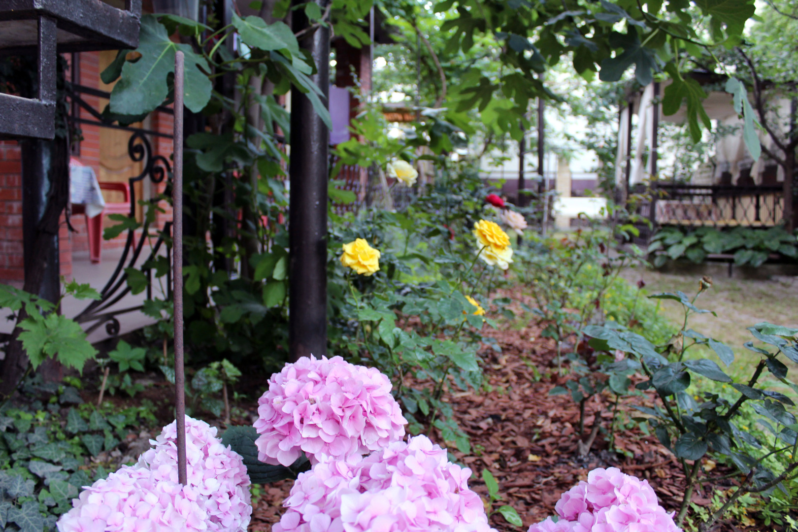 Гостевой Дом Шелковица