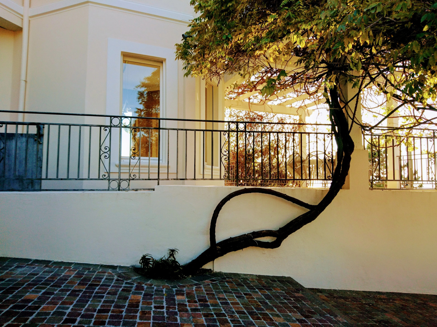 Вилла Невада