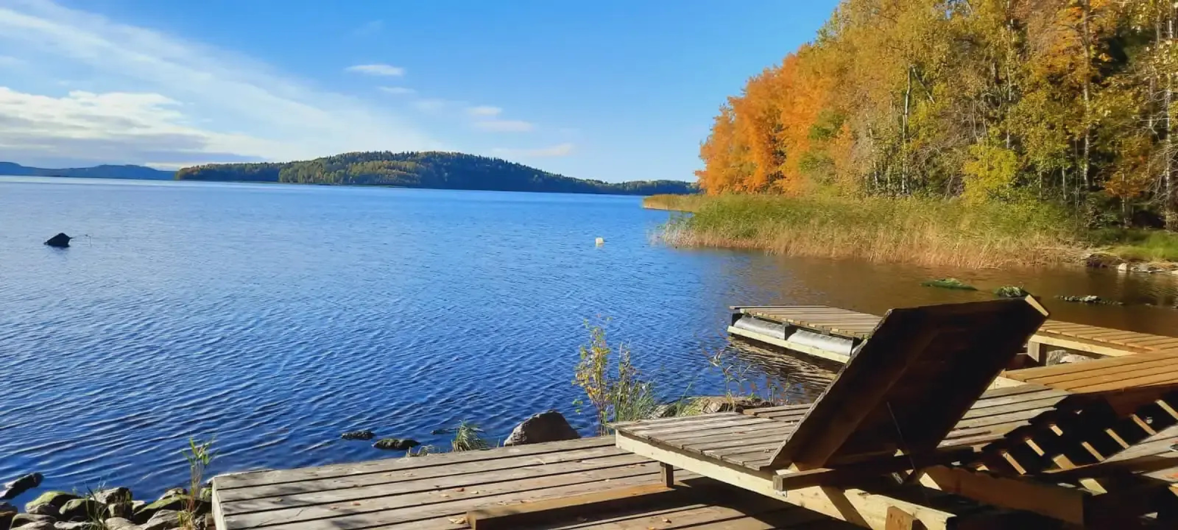 Гостевой дом Коттедж Лесной