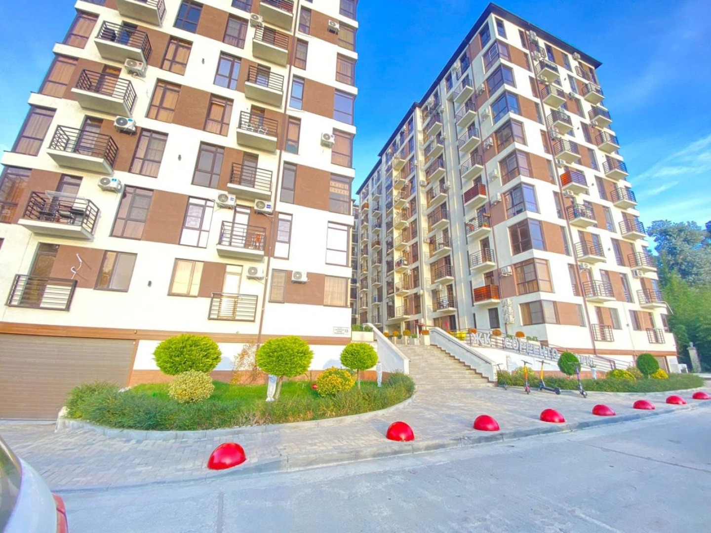 Море квартир с панорамными окнами вид на бамбуковую рощу