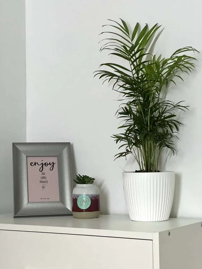 Апартаменты Baltic Apart Б