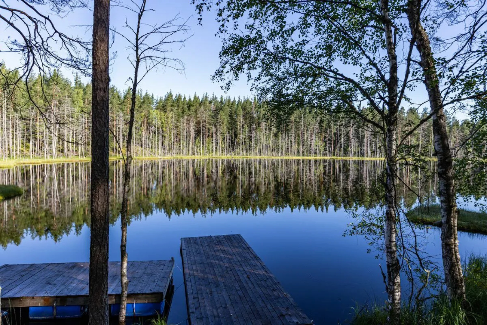 База отдыха Forest Lake
