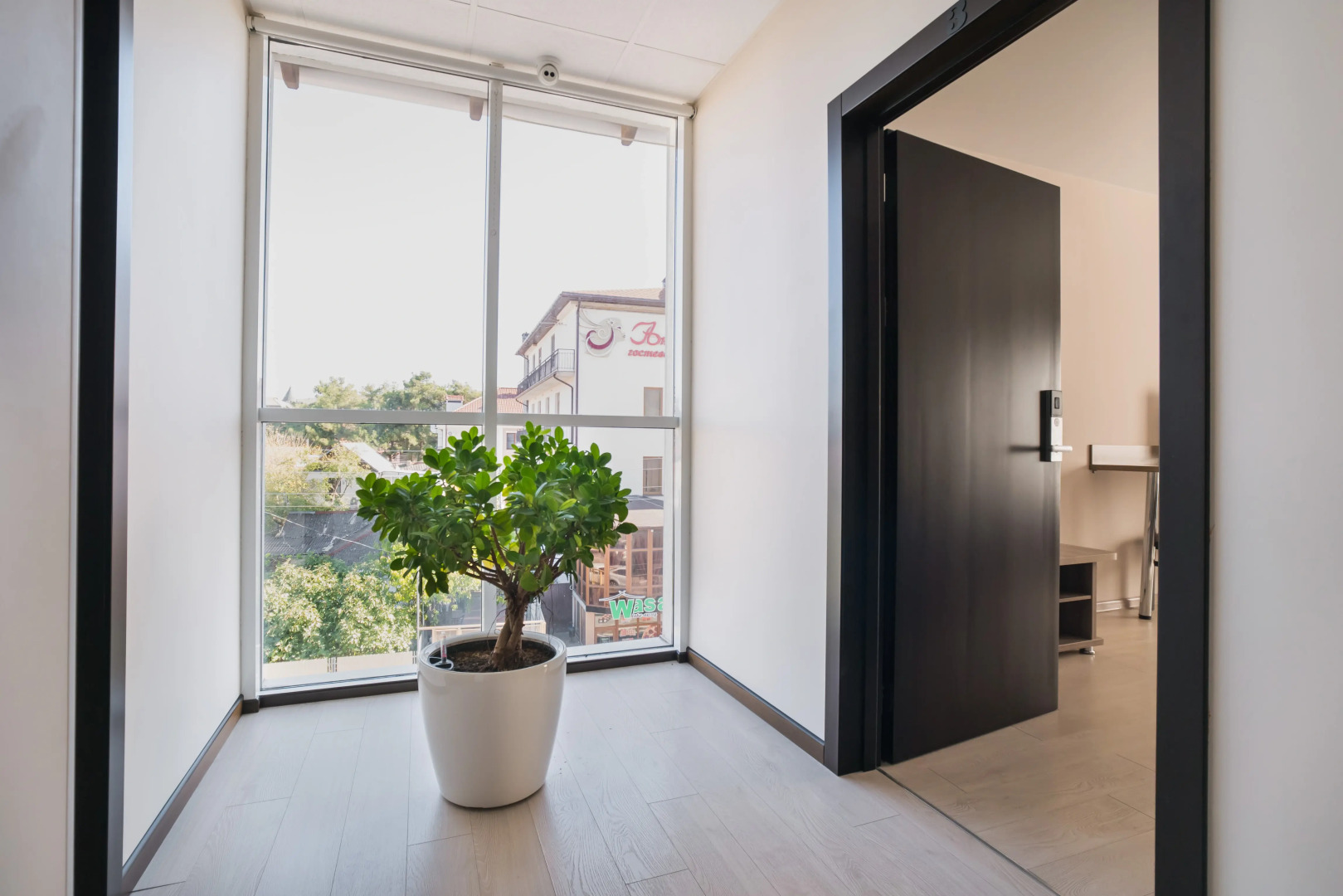 Отель Абрикос Плюс