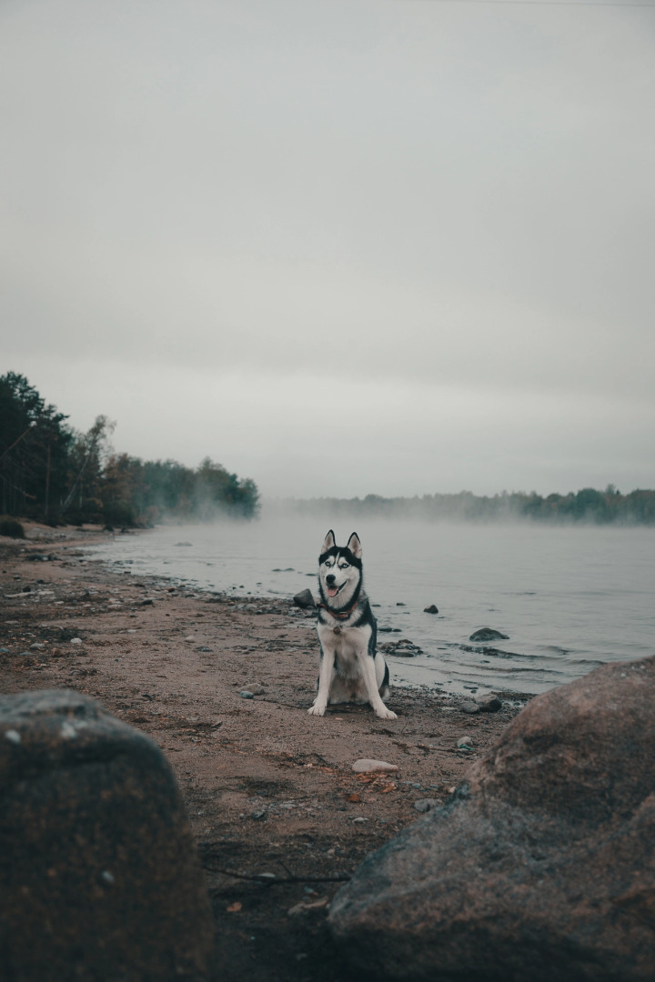База Отдыха Золотой Берег